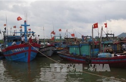 Hà Tĩnh, Thanh Hóa lên phương án đảm bảo an toàn cho tàu thuyền tránh trú bão